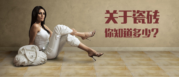 关于瓷砖，你知道多少？