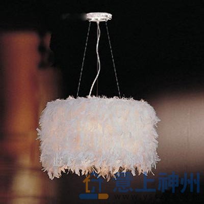 ��������Ƽ�