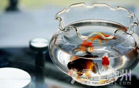 家居风水装修风水家居设计