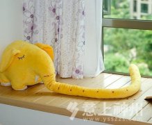  ӼƮƷװҪ 