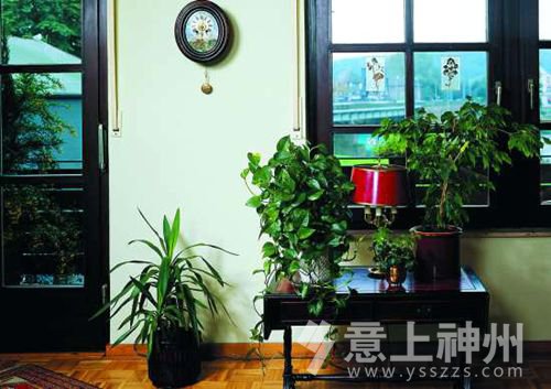 家中园艺应该要注意什么